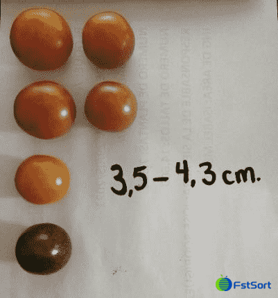 images/1657872337773cherry tomato grading machine.png